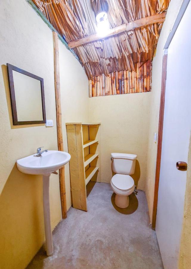 Combi Dream Bird Apartment